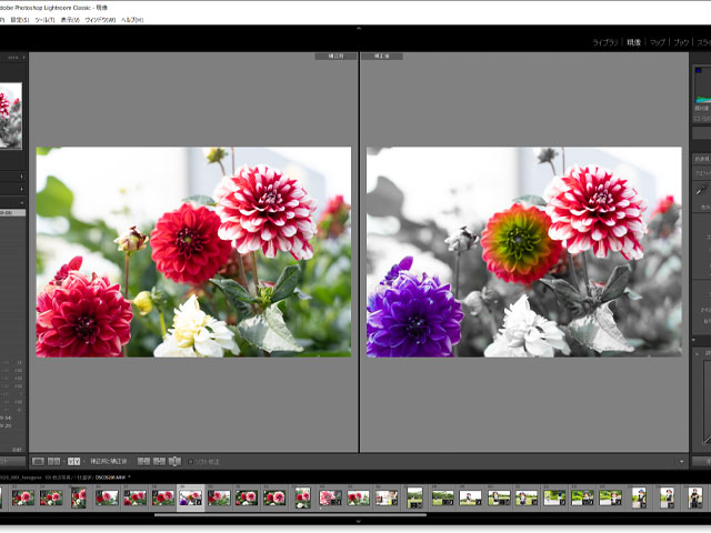 一眼レフで撮った写真は加工なしだと勿体ない！現役カメラマンが編集理由を紹介！